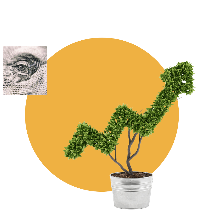 Investment Management